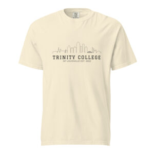 Unisex garment-dyed heavyweight t-shirt